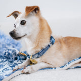 Frenchie Comfort Collar - Toile- Blue from Frenchie Bulldog
