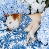 Frenchie Cooling Bandana - Toile- Blue from Frenchie Bulldog