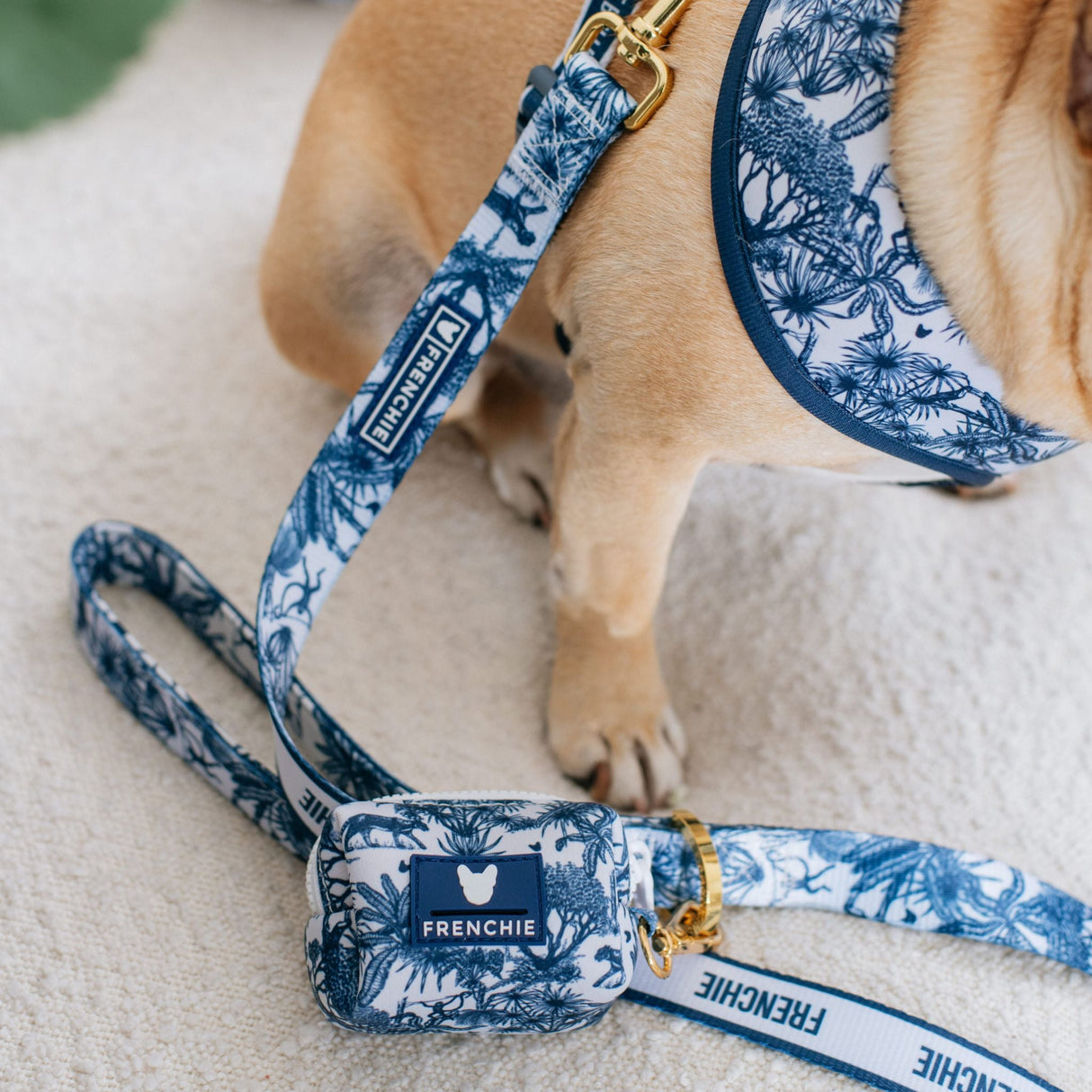 Frenchie Comfort Leash - Toile- Blue from Frenchie Bulldog