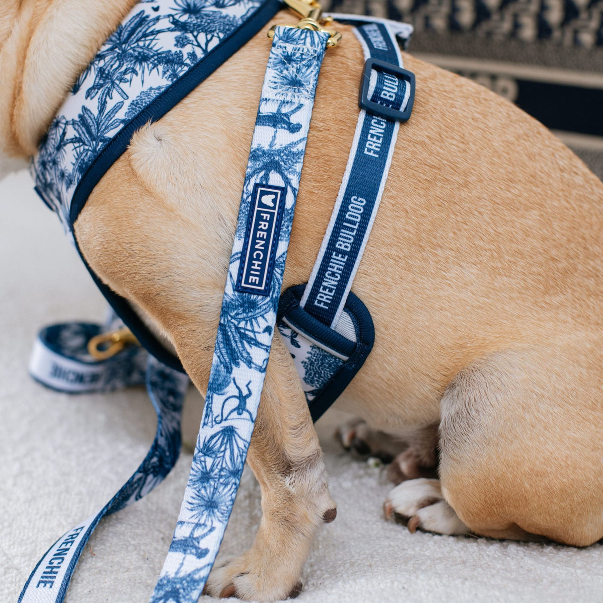 Frenchie Comfort Leash - Toile- Blue from Frenchie Bulldog