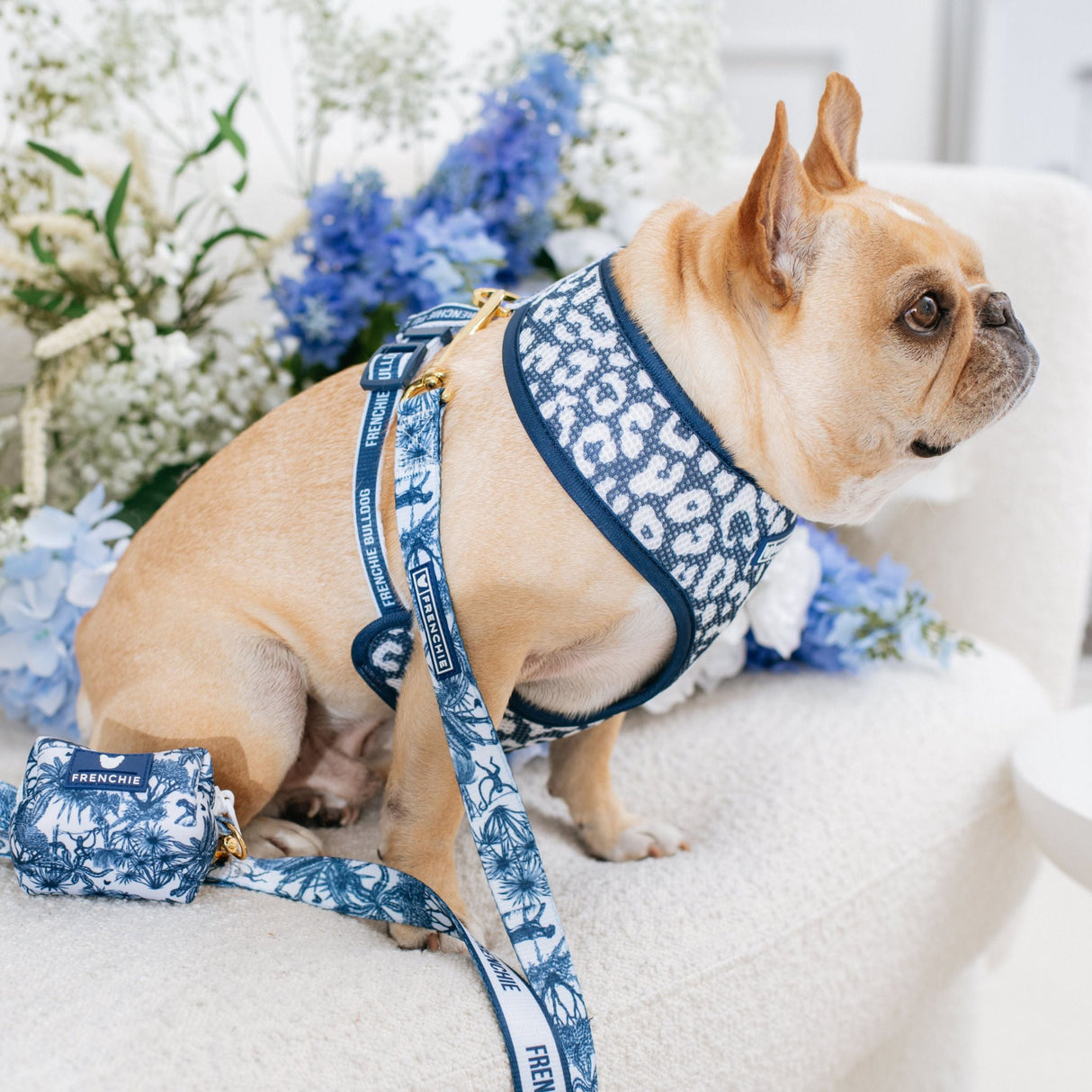 Frenchie Duo Reversible Harness - Toile- Blue from Frenchie Bulldog