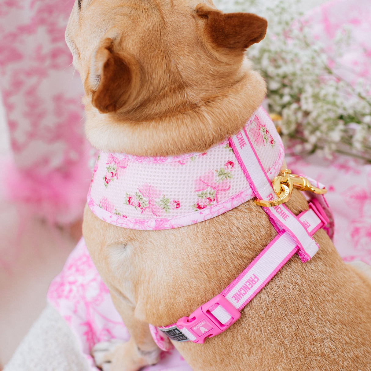Frenchie Duo Reversible Harness - Toile- Pink from Frenchie Bulldog