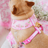 Frenchie Duo Reversible Harness - Toile- Pink from Frenchie Bulldog