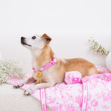 Frenchie Comfort Collar - Toile- Pink from Frenchie Bulldog