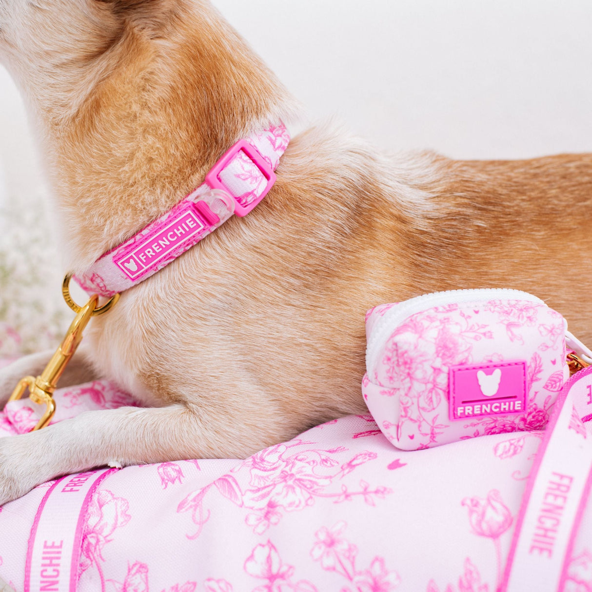 Frenchie Poo Bag Holder - Toile- Pink from Frenchie Bulldog