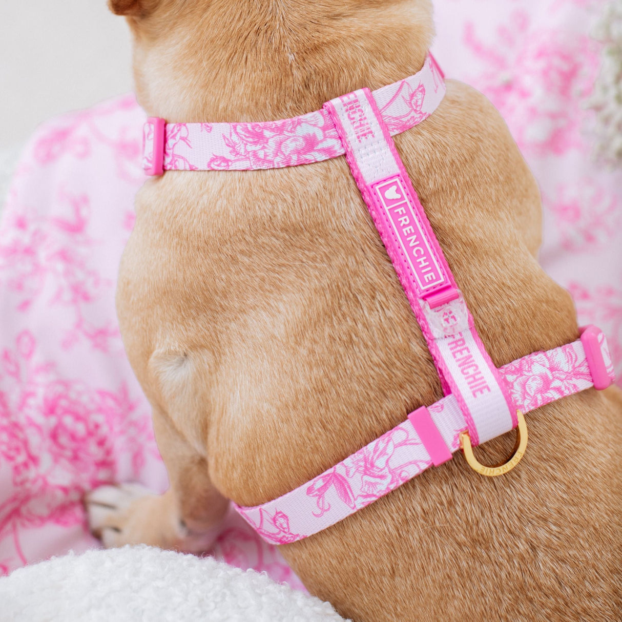 Frenchie Strap Harness - Toile- Pink from Frenchie Bulldog