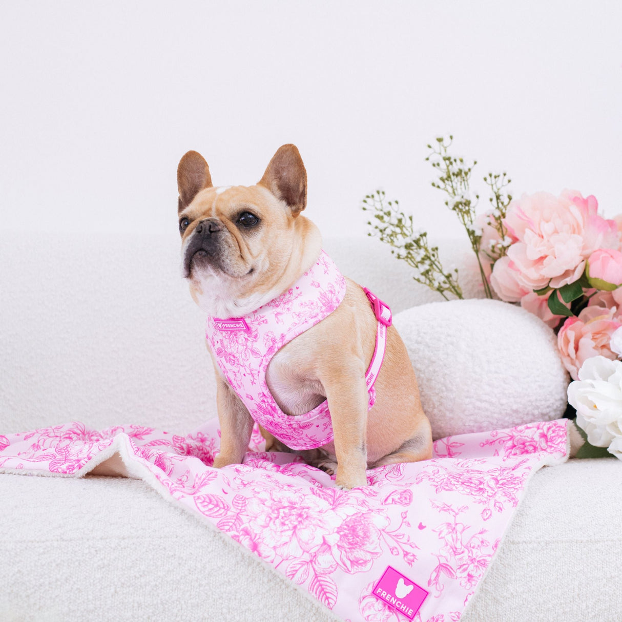 Frenchie Duo Reversible Harness - Toile- Pink from Frenchie Bulldog