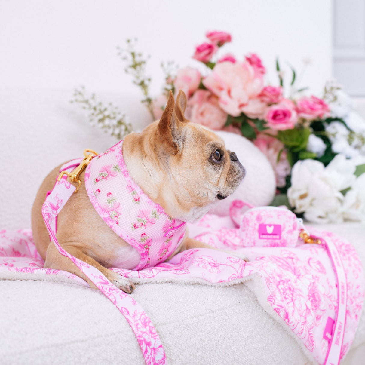 Frenchie Duo Reversible Harness - Toile- Pink from Frenchie Bulldog