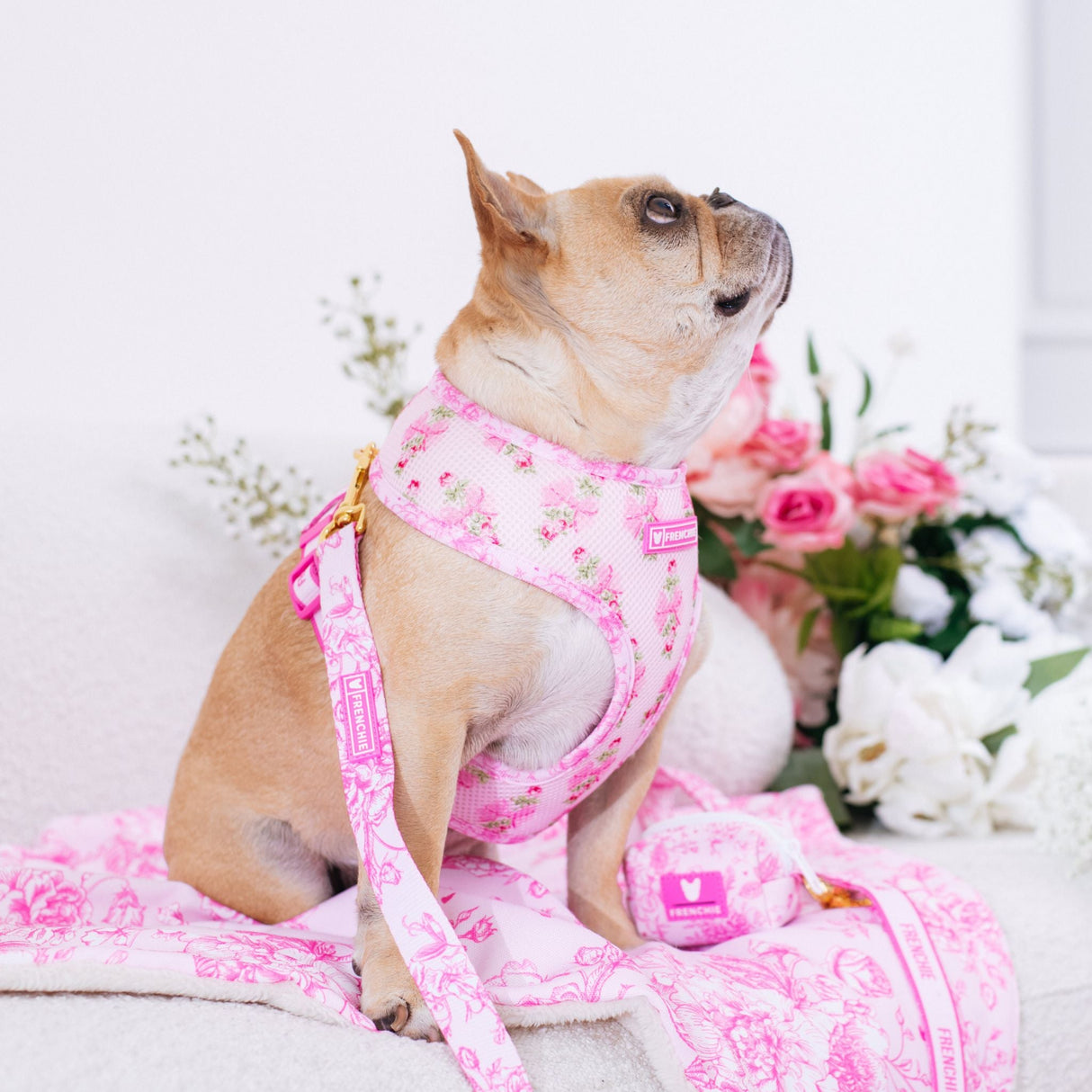 Frenchie Duo Reversible Harness - Toile- Pink from Frenchie Bulldog
