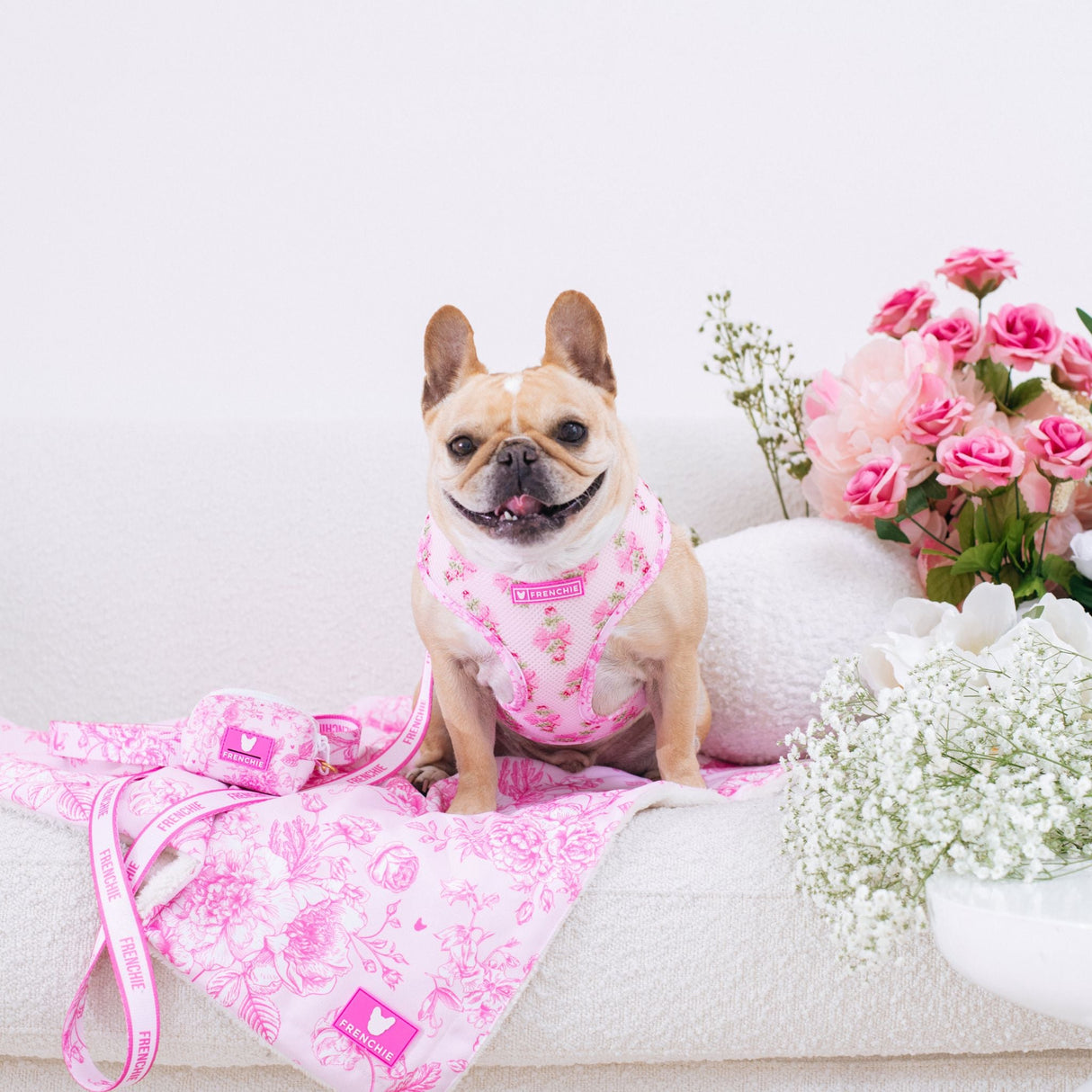 Frenchie Duo Reversible Harness - Toile- Pink from Frenchie Bulldog