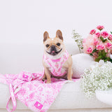 Frenchie Duo Reversible Harness - Toile- Pink from Frenchie Bulldog