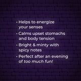 Too Much Fun Essential Oil Blend 10mL from Plant Therapy