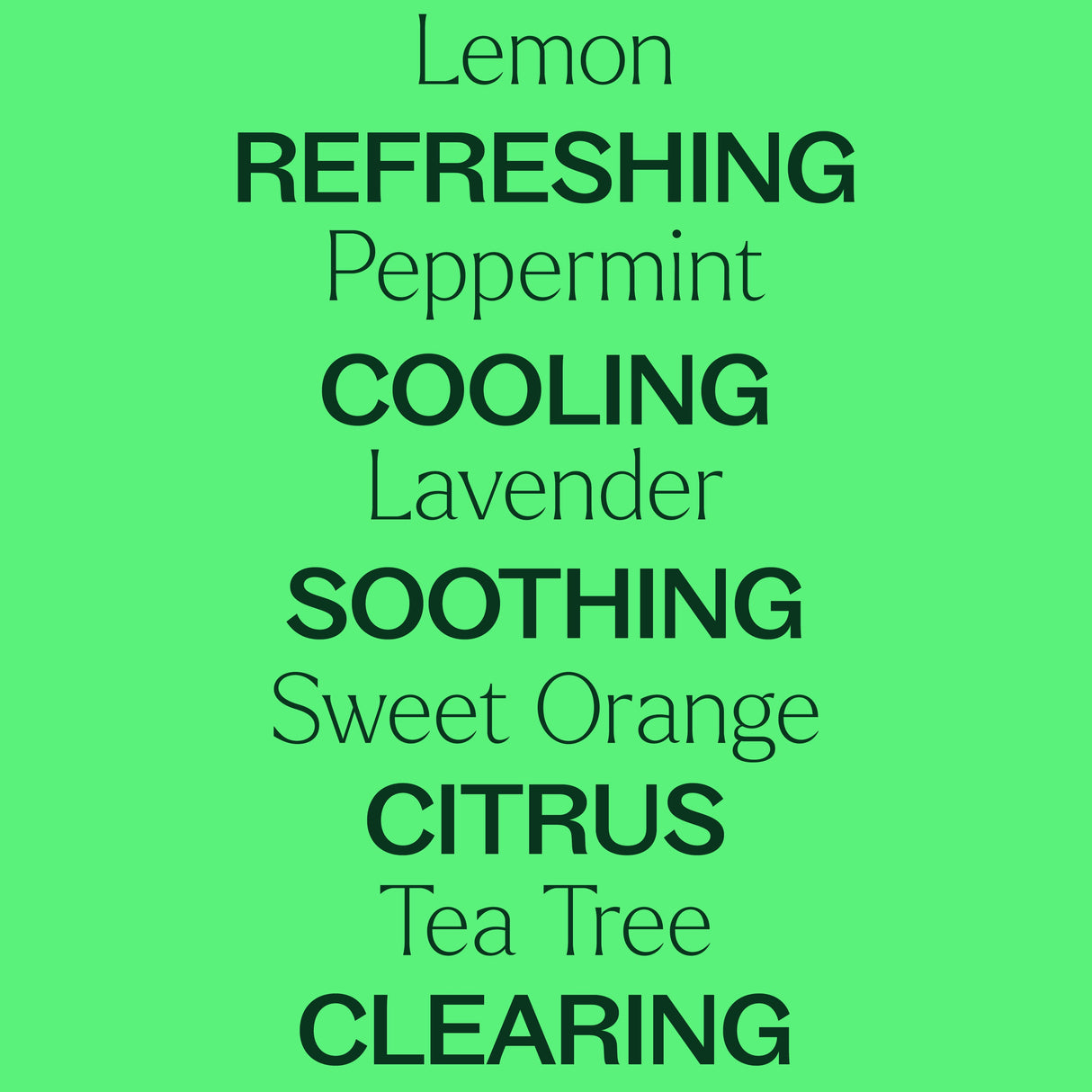 Top 14 Organic Singles Set from Plant Therapy