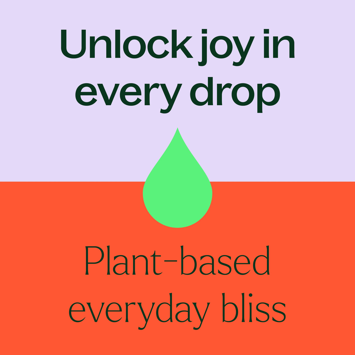 Top 14 Organic Singles Set from Plant Therapy