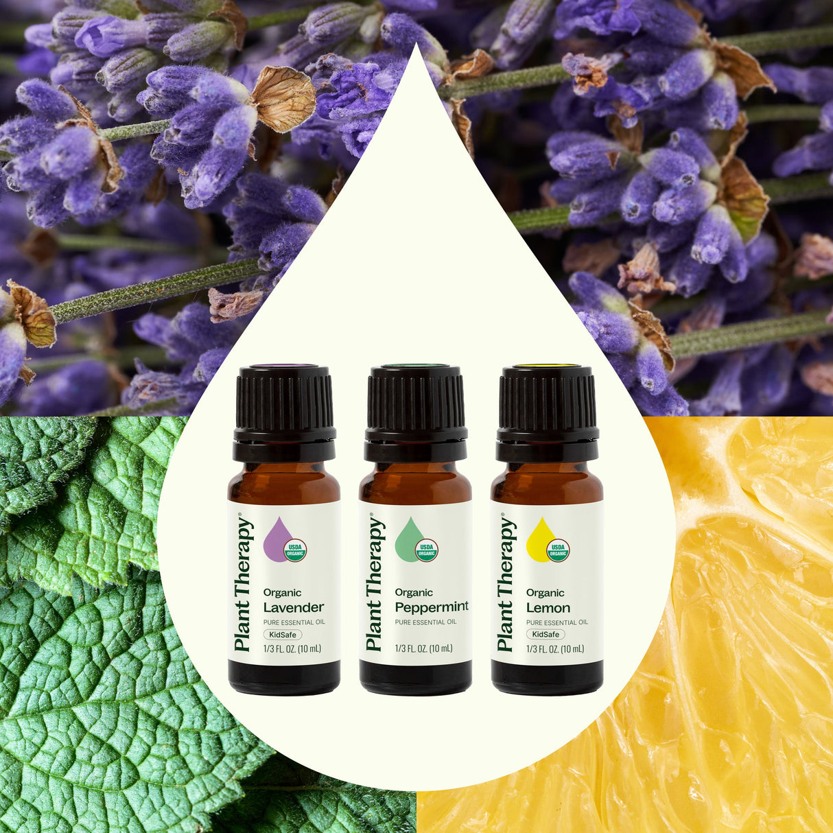 Top 3 Organic Singles Set from Plant Therapy