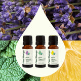 Top 3 Organic Singles Set from Plant Therapy