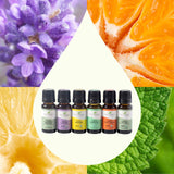 Top 6 Organic Singles Essential Oil Set from Plant Therapy