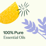 Top 6 Organic Singles Essential Oil Set from Plant Therapy