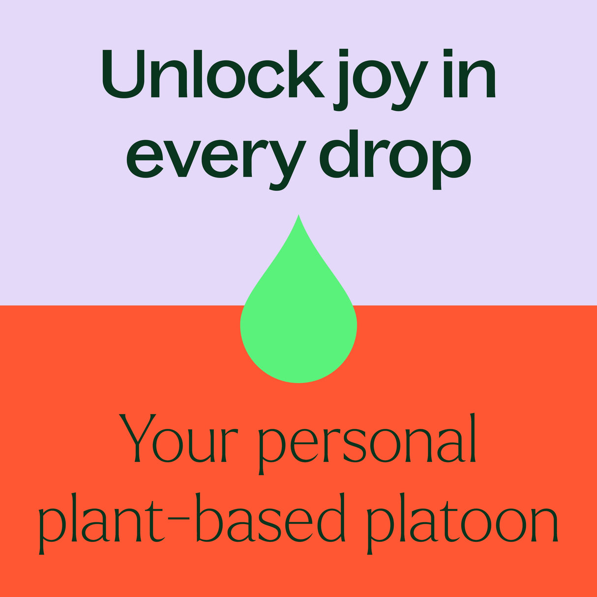 Top 6 Organic Singles Essential Oil Set from Plant Therapy