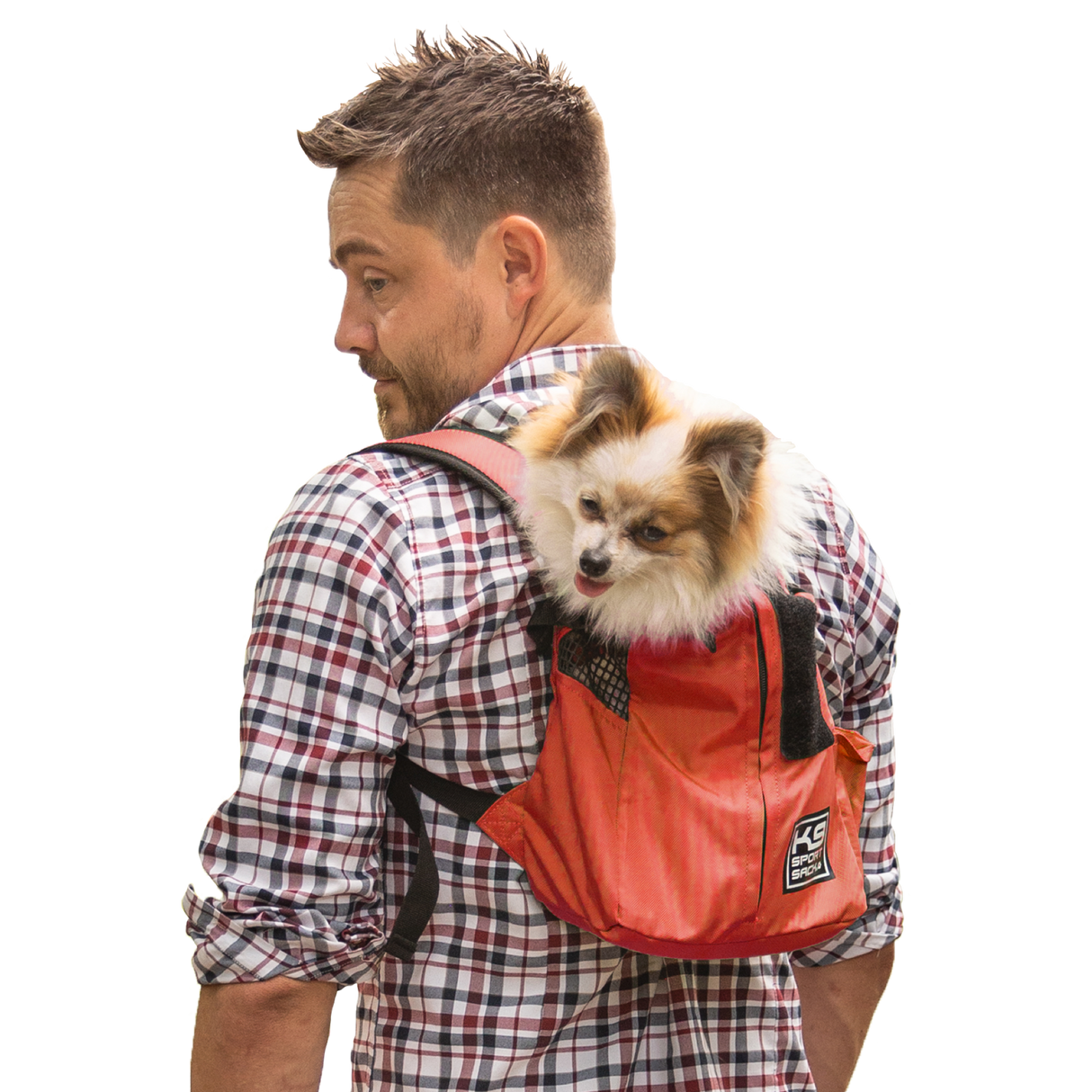 Trainer | Puppy & Small Dog Carrier from K9 Sport Sack