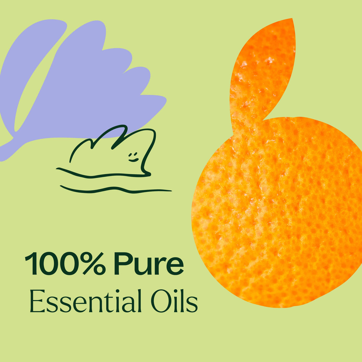 Tranquil ®️ Essential Oil Blend from Plant Therapy
