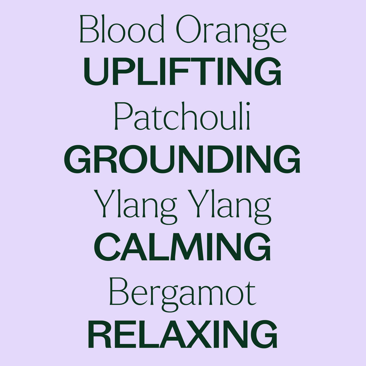 Tranquil ®️ Essential Oil Blend from Plant Therapy