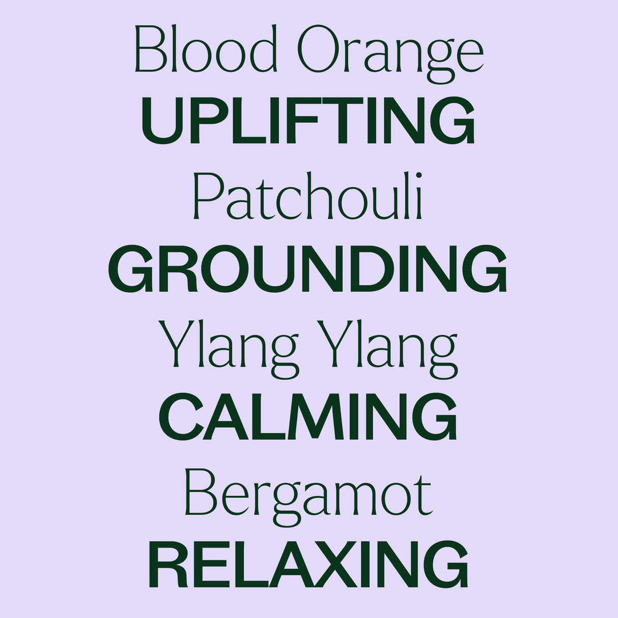 Tranquil ®️ Essential Oil Blend Pre-Diluted Roll-On from Plant Therapy