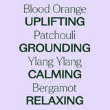 Tranquil ®️ Essential Oil Blend Pre-Diluted Roll-On from Plant Therapy