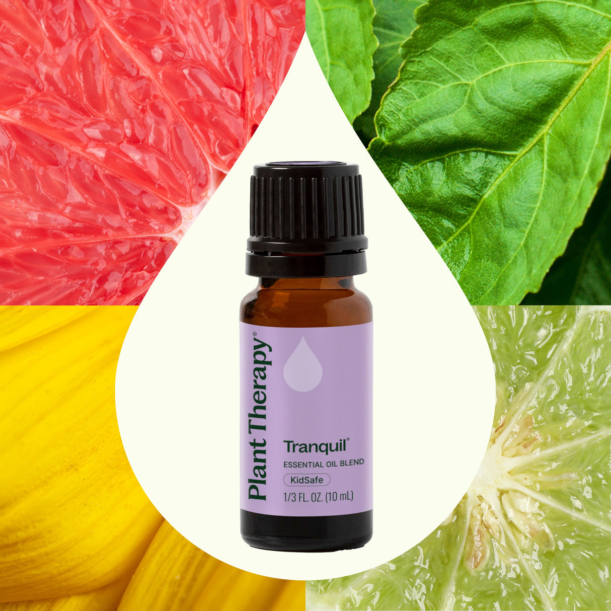 Tranquil ®️ Essential Oil Blend from Plant Therapy