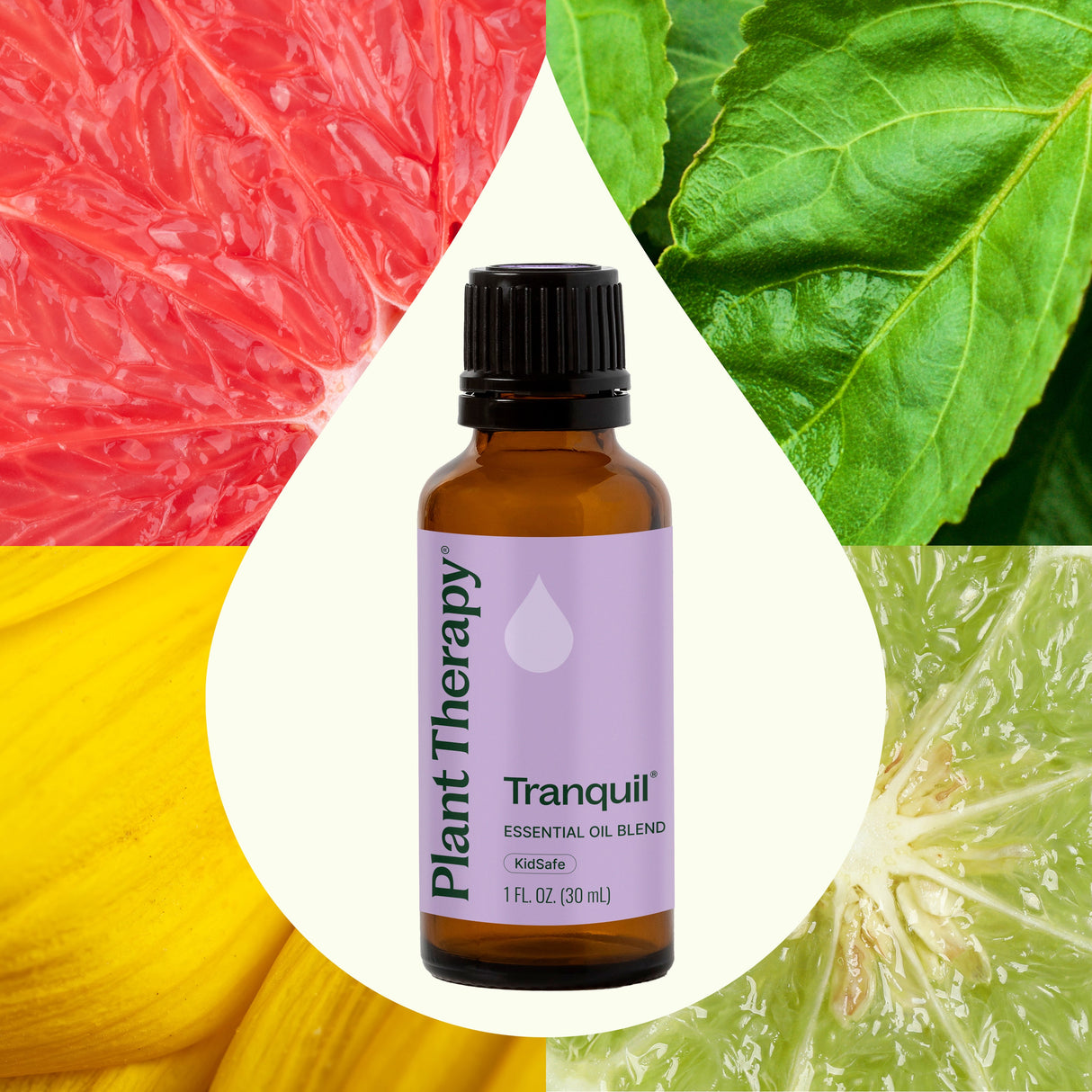 Tranquil ®️ Essential Oil Blend from Plant Therapy