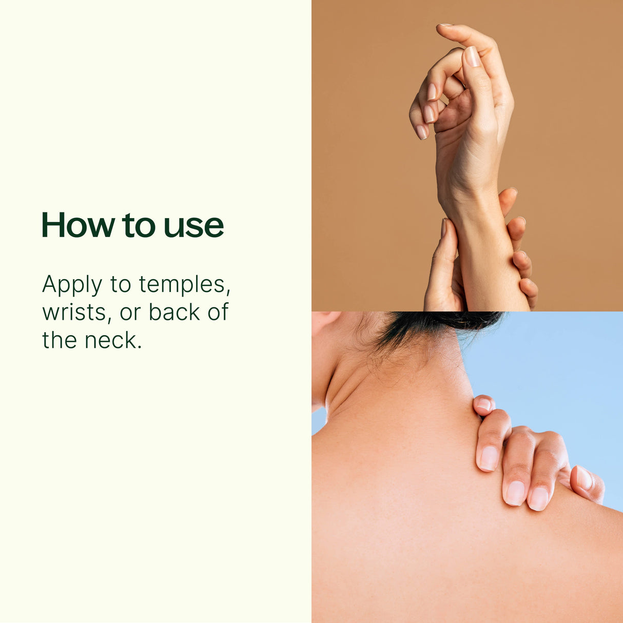 Tranquil ®️ Essential Oil Blend Pre-Diluted Roll-On from Plant Therapy