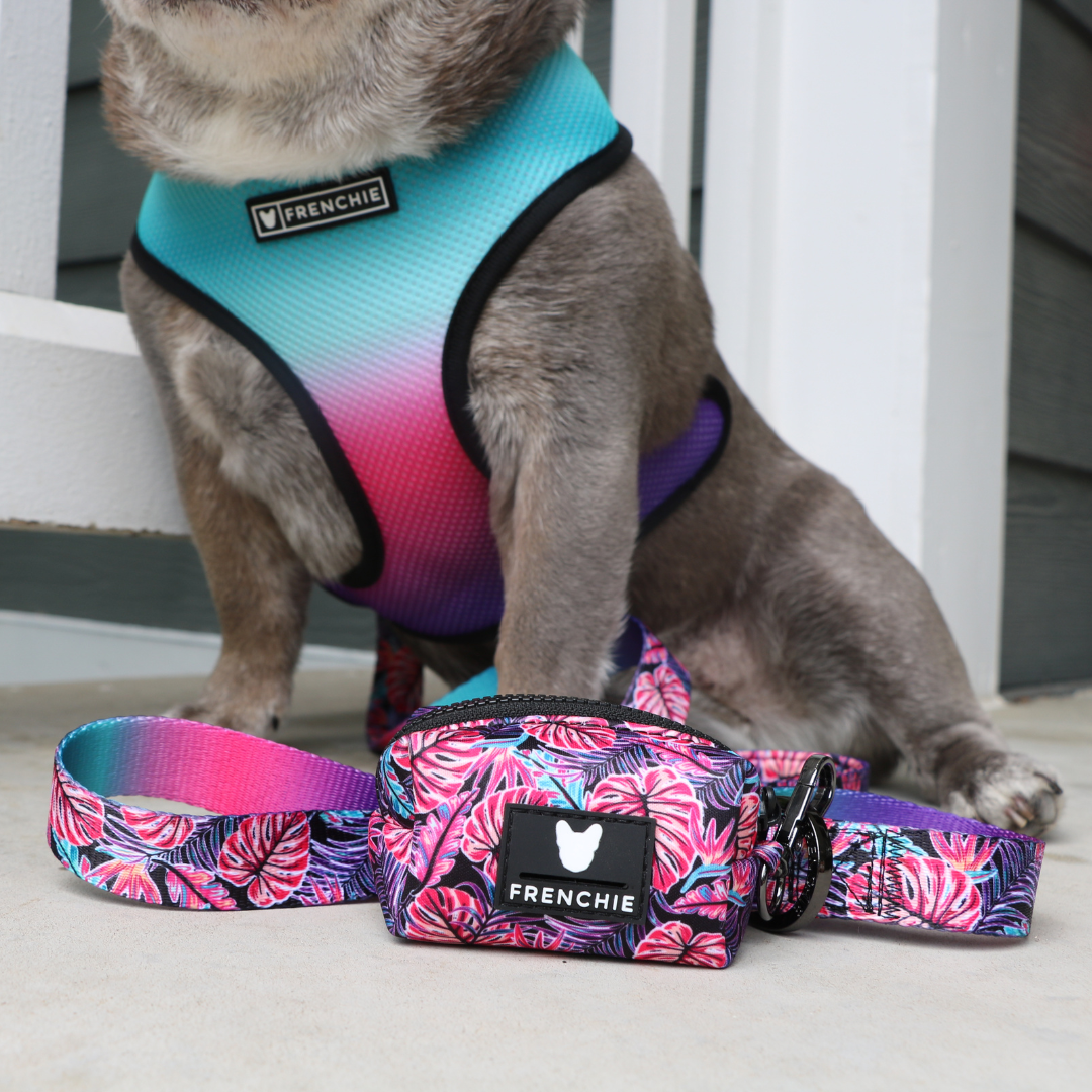 Frenchie Comfort Leash - Tropical Palms from Frenchie Bulldog