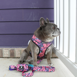 Frenchie Duo Reversible Harness - Tropical Palms from Frenchie Bulldog