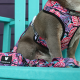 Frenchie Duo Reversible Harness - Tropical Palms from Frenchie Bulldog