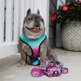 Frenchie Duo Reversible Harness - Tropical Palms from Frenchie Bulldog