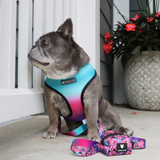 Frenchie Comfort Leash - Tropical Palms from Frenchie Bulldog