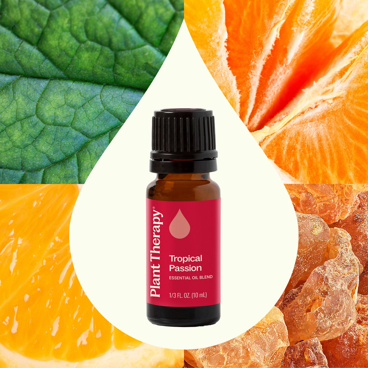 Tropical Passion Essential Oil Blend from Plant Therapy