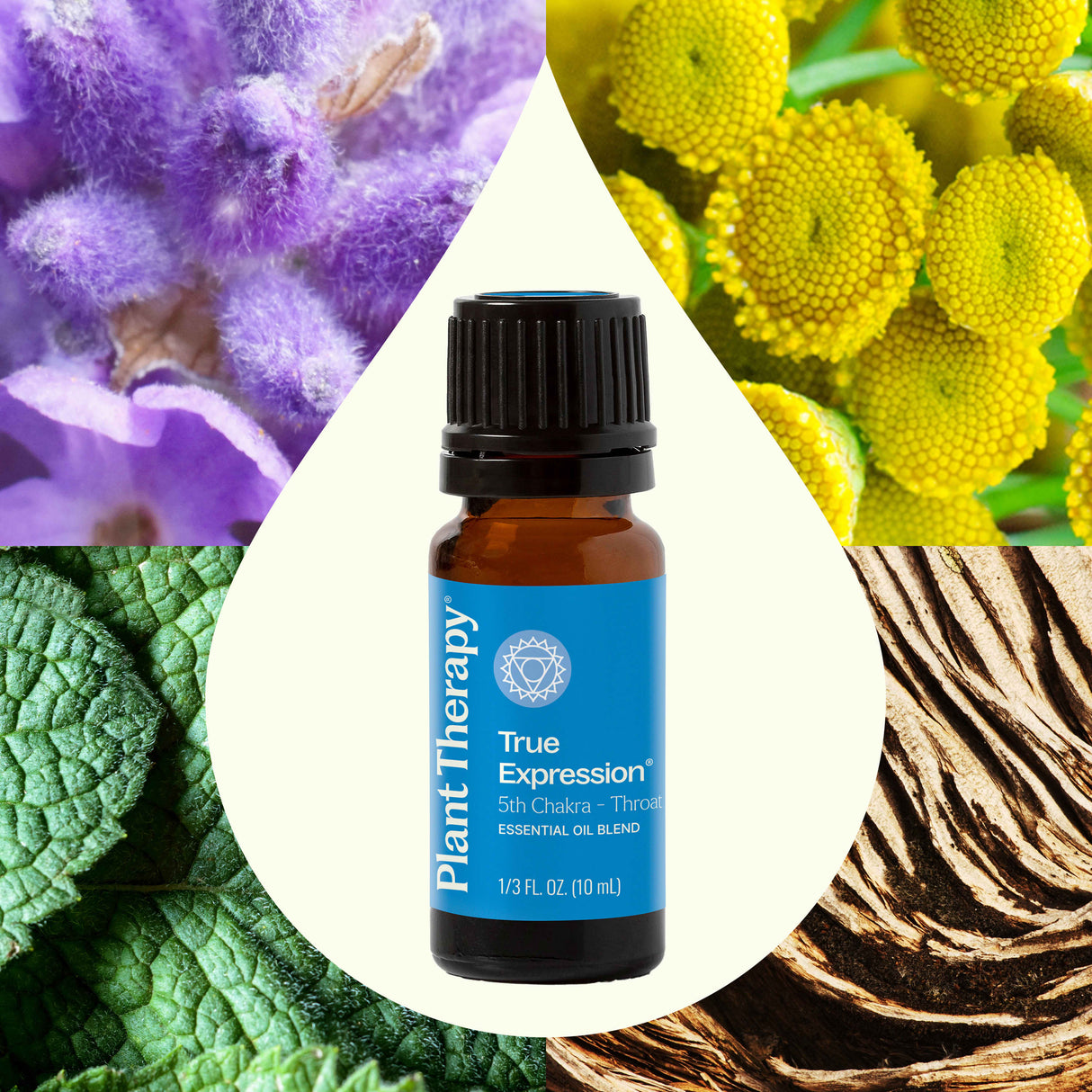 True Expression (Throat Chakra) Essential Oil from Plant Therapy