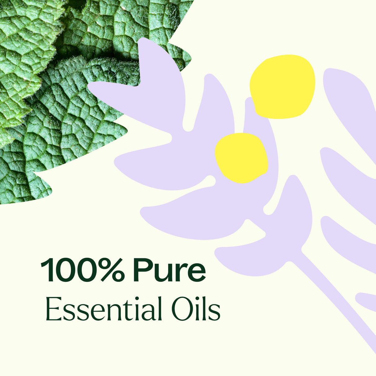 True Expression (Throat Chakra) Essential Oil from Plant Therapy
