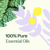 True Expression (Throat Chakra) Essential Oil from Plant Therapy