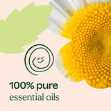 Tummy All Better KidSafe Essential Oil from Plant Therapy