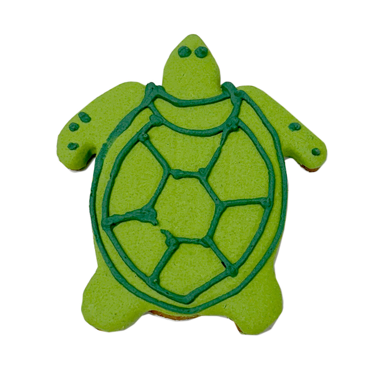 Turtle from Bubba Rose Biscuit Co.