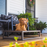 The Up Pup Dog Bed from FÜZI