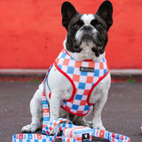 Frenchie Comfort Leash - USA from Frenchie Bulldog