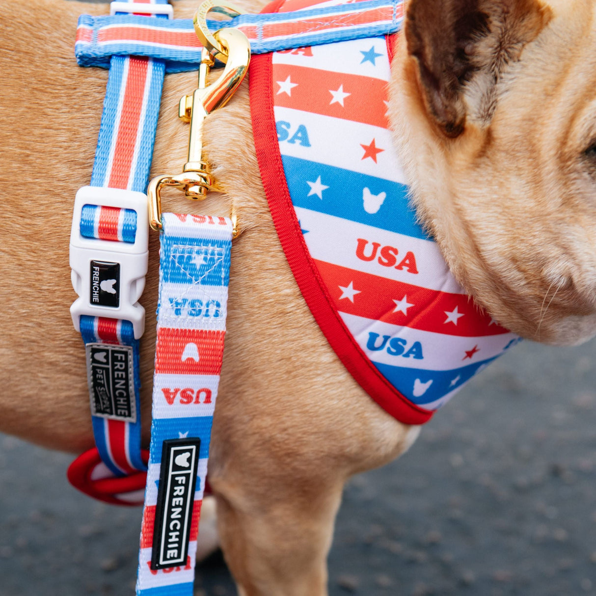Frenchie Duo Reversible Harness - USA from Frenchie Bulldog