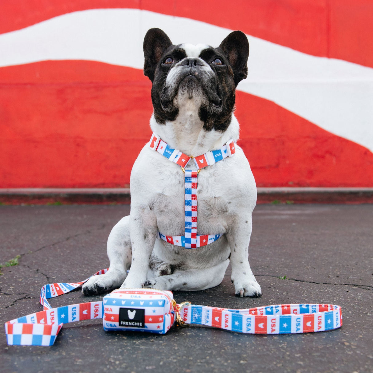 Frenchie Comfort Leash - USA from Frenchie Bulldog