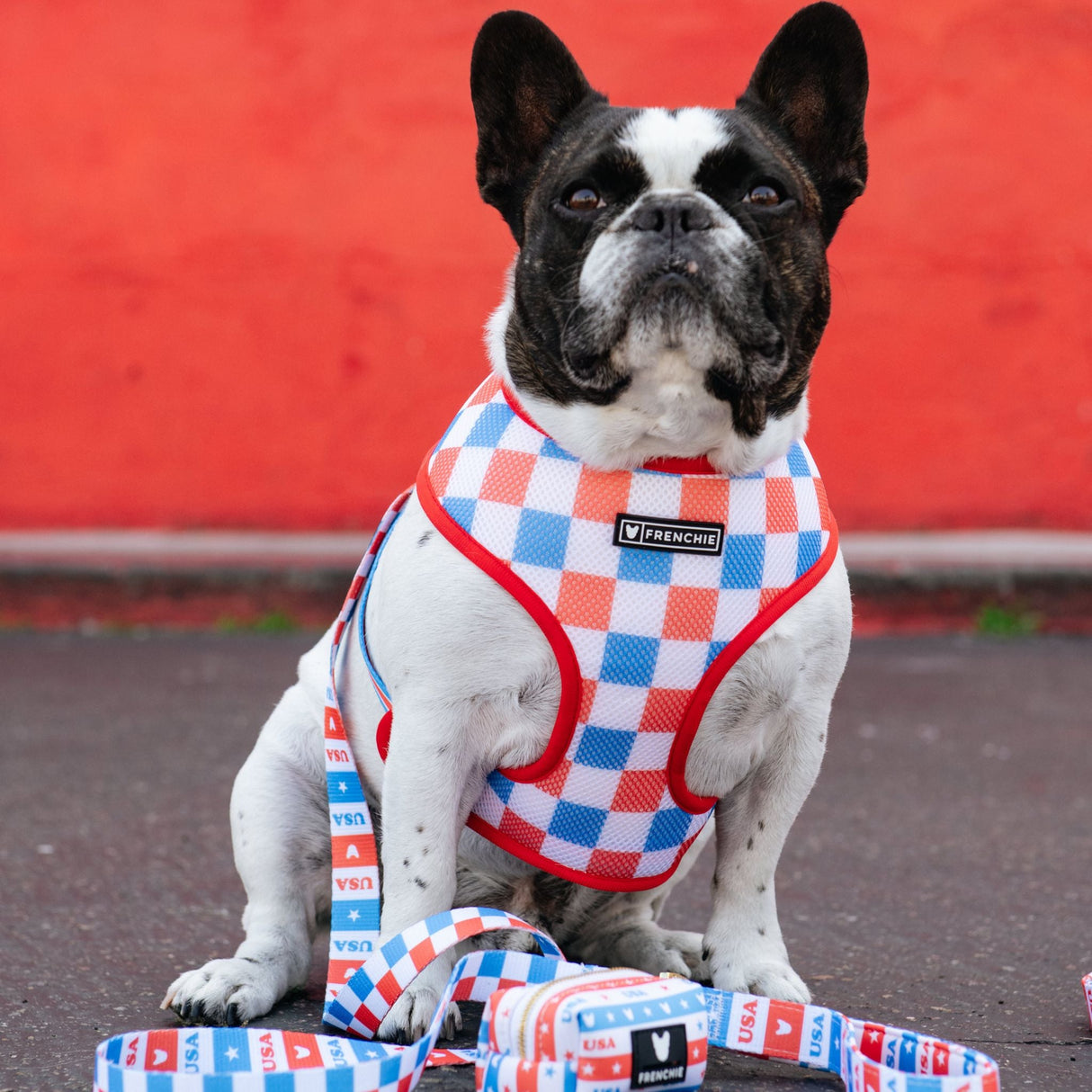 Frenchie Duo Reversible Harness - USA from Frenchie Bulldog