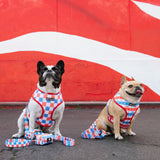 Frenchie Duo Reversible Harness - USA from Frenchie Bulldog