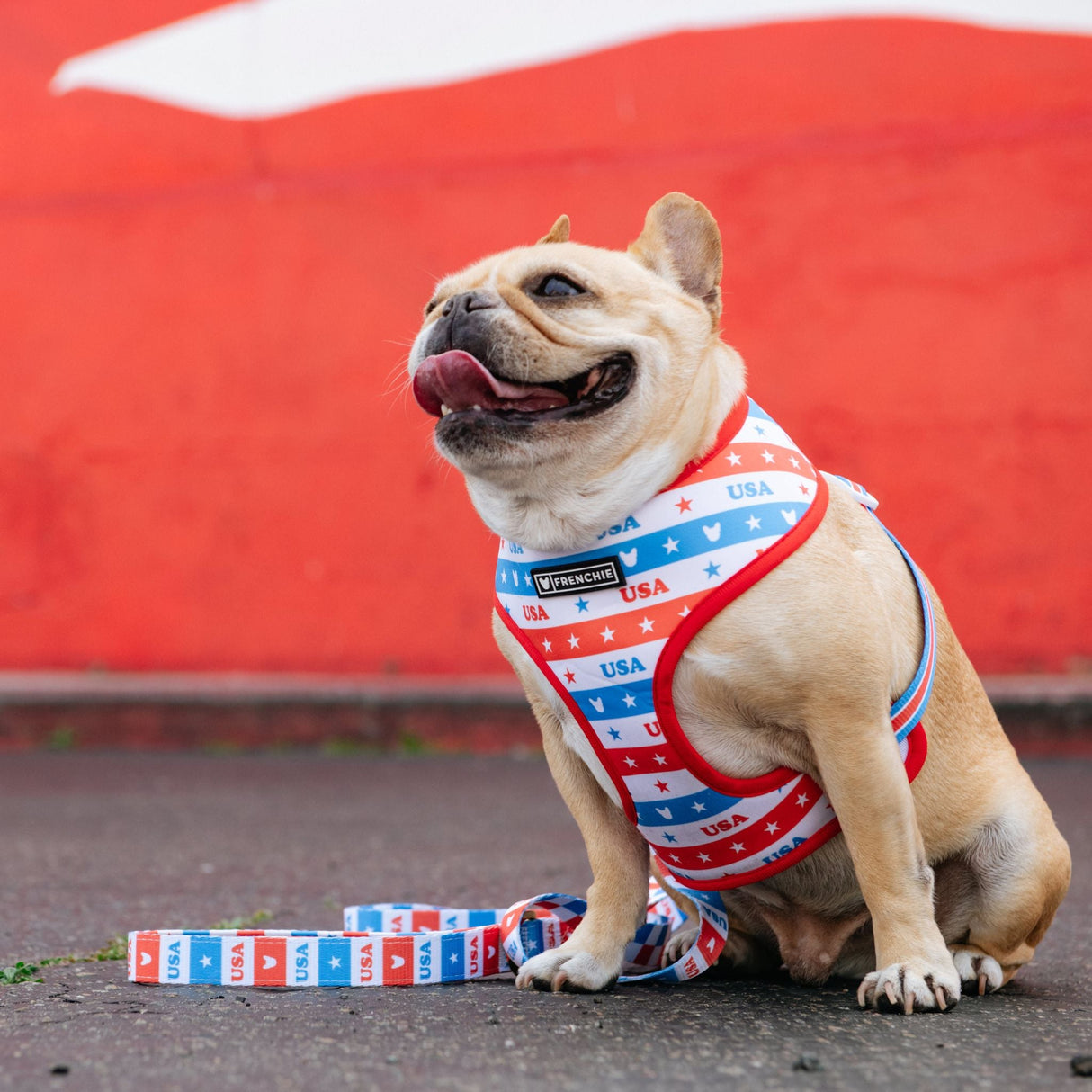 Frenchie Duo Reversible Harness - USA from Frenchie Bulldog