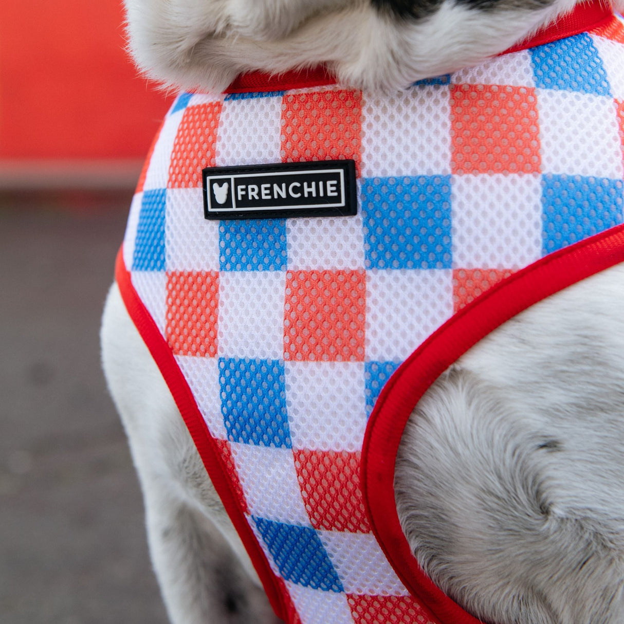 Frenchie Duo Reversible Harness - USA from Frenchie Bulldog